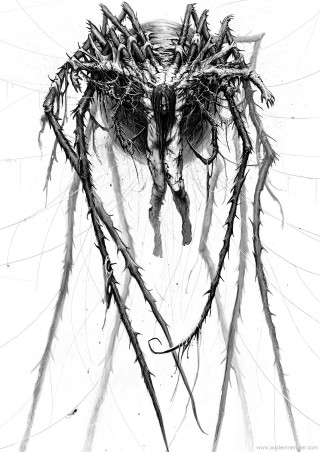 Bird nest branches head drawing - branch free wallpaper