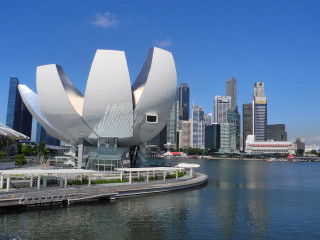 White flower sculpture river cityscape - top of a river next free wallpaper
