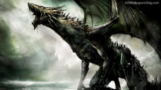Dragon standing water wings spread - its wing free wallpaper