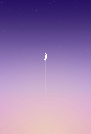 Bird flying purple pink background - amir zand free wallpaper
