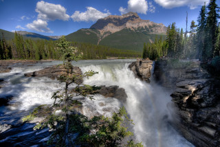 Waterfall abundant water trees mountains - douglas robertson bisset free wallpaper