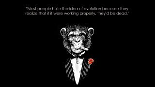 Monkey tuxedo rose lapel quote - alex petruk ape free wallpaper