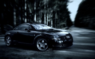 Black car parking lot trees 2 - tree and a forest in the background free wallpaper