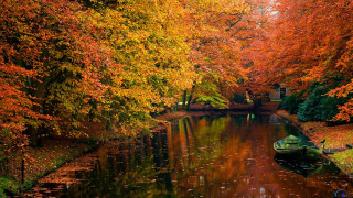 Boat water forest orange leaves - arie smit free wallpaper