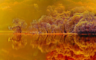 Lake trees yellow sky background - impressionist painting free wallpaper
