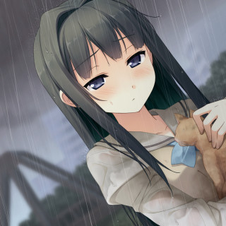 Girl holding cat rain city - a city in the background and a bridge in the foreground free wallpaper
