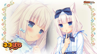 Anime girls long hair blue 27 - a picture together free wallpaper