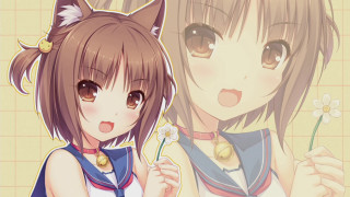 Anime girls cat ears flower 2 - official art free wallpaper for desktop