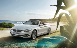 White car ocean pine tree - a sun free wallpaper
