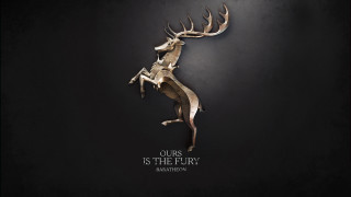 Deer standing hind legs ours - its hind leg free wallpaper