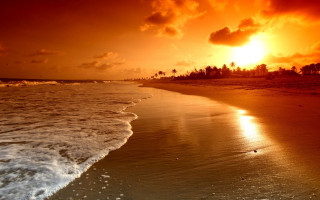 Beach waves sunset clouds trees 2 - wave free wallpaper