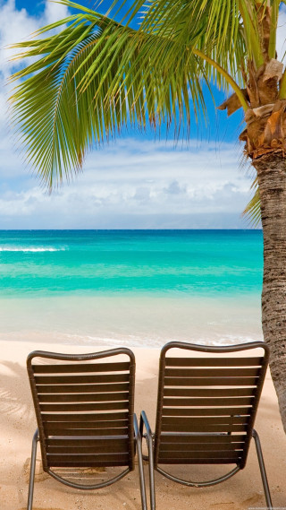 Beach two chairs palm tree - palm tree free wallpaper