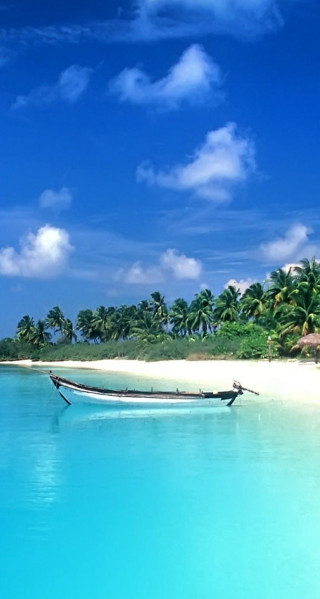 Boat beach water tropical island - palm tree free wallpaper