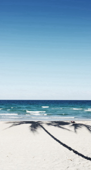 Beach palm trees blue sky - beach free wallpaper