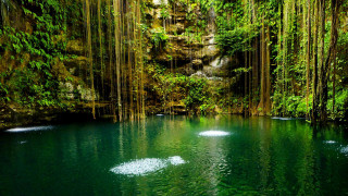 Waterfall pool trees background waterfall 2 - a pool of water free wallpaper