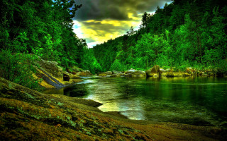 River forest moss rocks cloudy - river free wallpaper