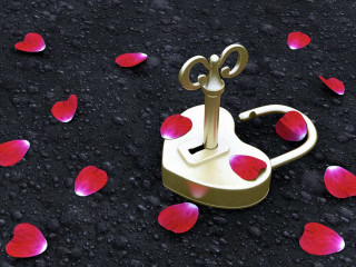 Gold umbrella red petals black - red petal free wallpaper