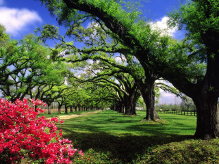 Field trees flowers fence background - impressionist free wallpaper