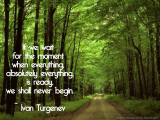 Road forest quote moment wait - inspirational free wallpaper
