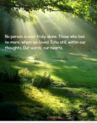 Sunny day woods quote light - sunny free wallpaper