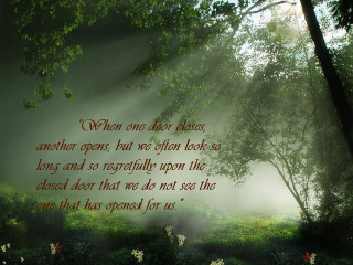 Forest quote nature beauty inspiration - a picture of a forest free wallpaper
