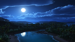 Full moon water palm trees - felipe seade free wallpaper