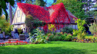 House red roof garden bench - art free wallpaper for desktop