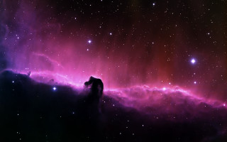Person standing space stars purple - the middle of a space free wallpaper