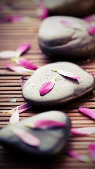 Rocks pink petals bamboo mat - the rock free wallpaper