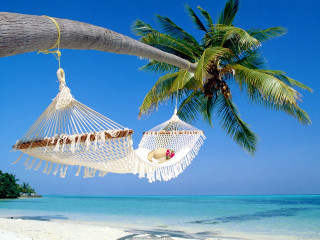 Hammock palm tree beach blue 2 - a blue sky and ocean in the background free wallpaper