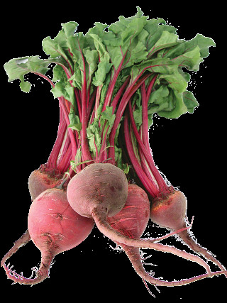 Radishes leaves liquid tube computer - incoherent free wallpaper