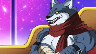 Wolf scarf chair purple background - a purple background free wallpaper