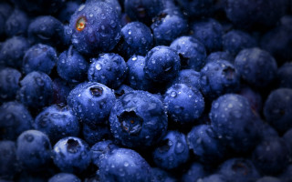 Blueberries waterdroplets yelloweye macro blurry - an gyeon free wallpaper for desktop