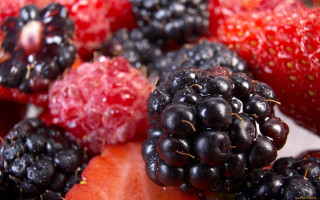 Berries strawberries water droplets macro - arcimboldo free wallpaper