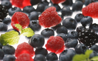 Berries raspberries white surface green - a white surface free wallpaper