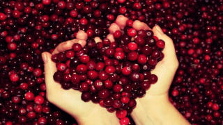 Person holding cranberries ecological art - a person holding free wallpaper