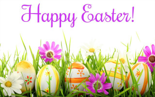 Eggs daisies easter floral folk - a group of eggs free wallpaper