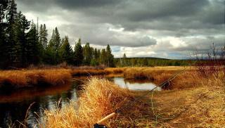 River forest grass trees cloudy - a few cloud free wallpaper