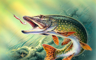 Fish hook mouth fish aurora - alexander johnston free wallpaper