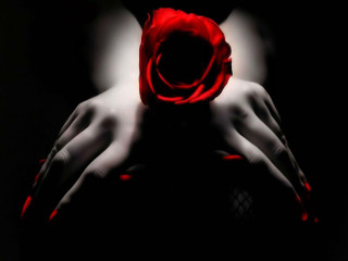 Red rose black background hands - hand free wallpaper