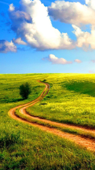 Dirt road green field cloudy 12 - the side of the road free wallpaper
