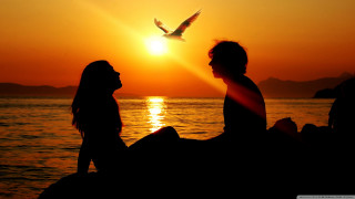 Couple sunset water birds flying - romantic free wallpaper