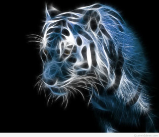 White tiger black background blue - a white tiger free wallpaper