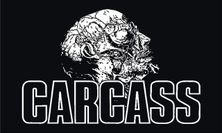 Gorilla black white photo face 2 - grotesque free wallpaper