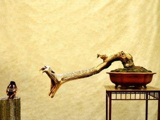 Bird statue branch moss bowl - a stand free wallpaper