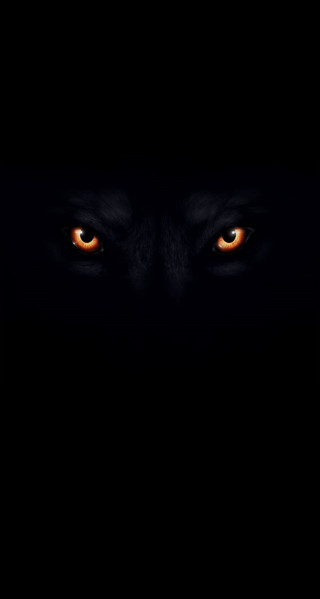 Dark wolf eyes glowing in - caspar wolf free wallpaper
