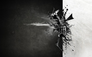 Black white plant wall dark 2 - modern free wallpaper
