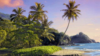 Beach palm rocky waves mountain - wave free wallpaper
