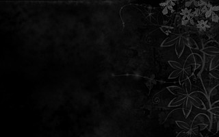 Black white flowers background white 2 - gothic free wallpaper for desktop
