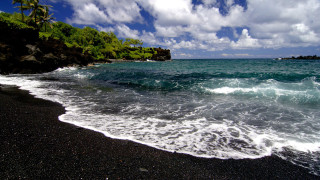 Beach waves cliff trees shoreline - wave free wallpaper